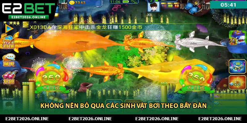 Không nên bỏ qua các sinh vật bơi theo bầy đàn 